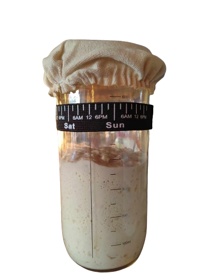 Sourdough kvasac Živko